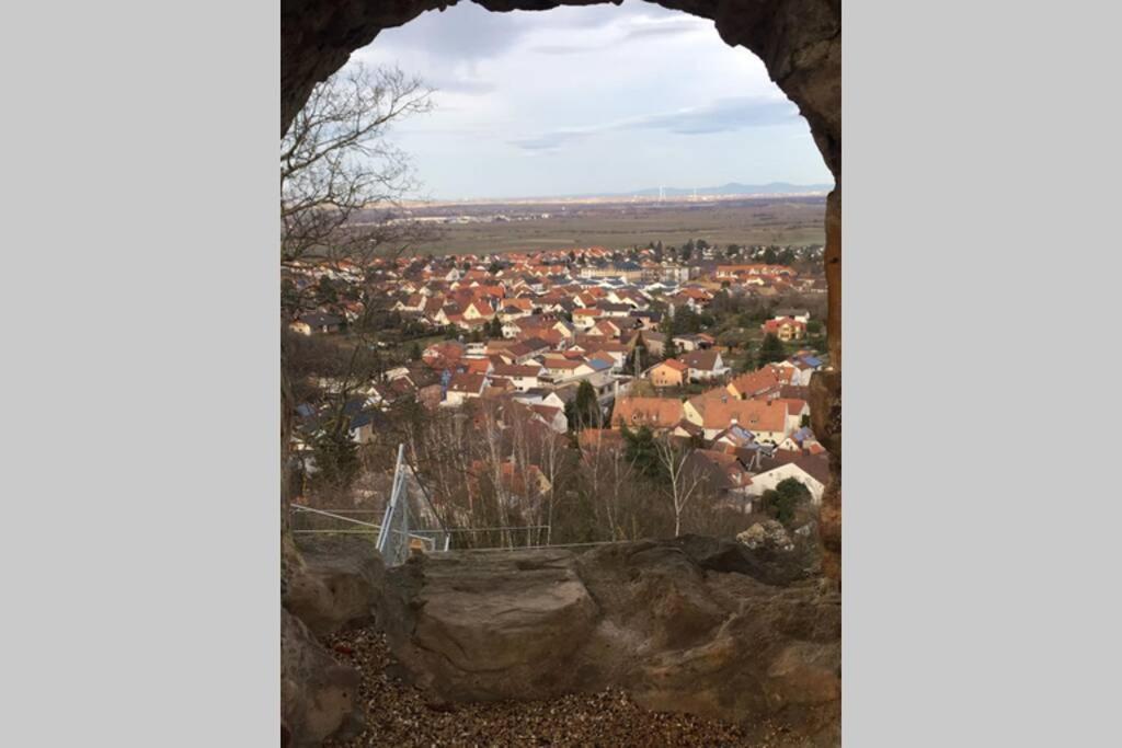 Wunderschoene Wohnung Mit Blick Auf Die Weinberge Neustadt an der Weinstraße Kültér fotó