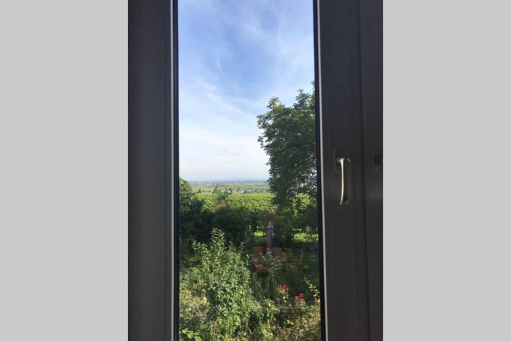 Wunderschoene Wohnung Mit Blick Auf Die Weinberge Neustadt an der Weinstraße Kültér fotó
